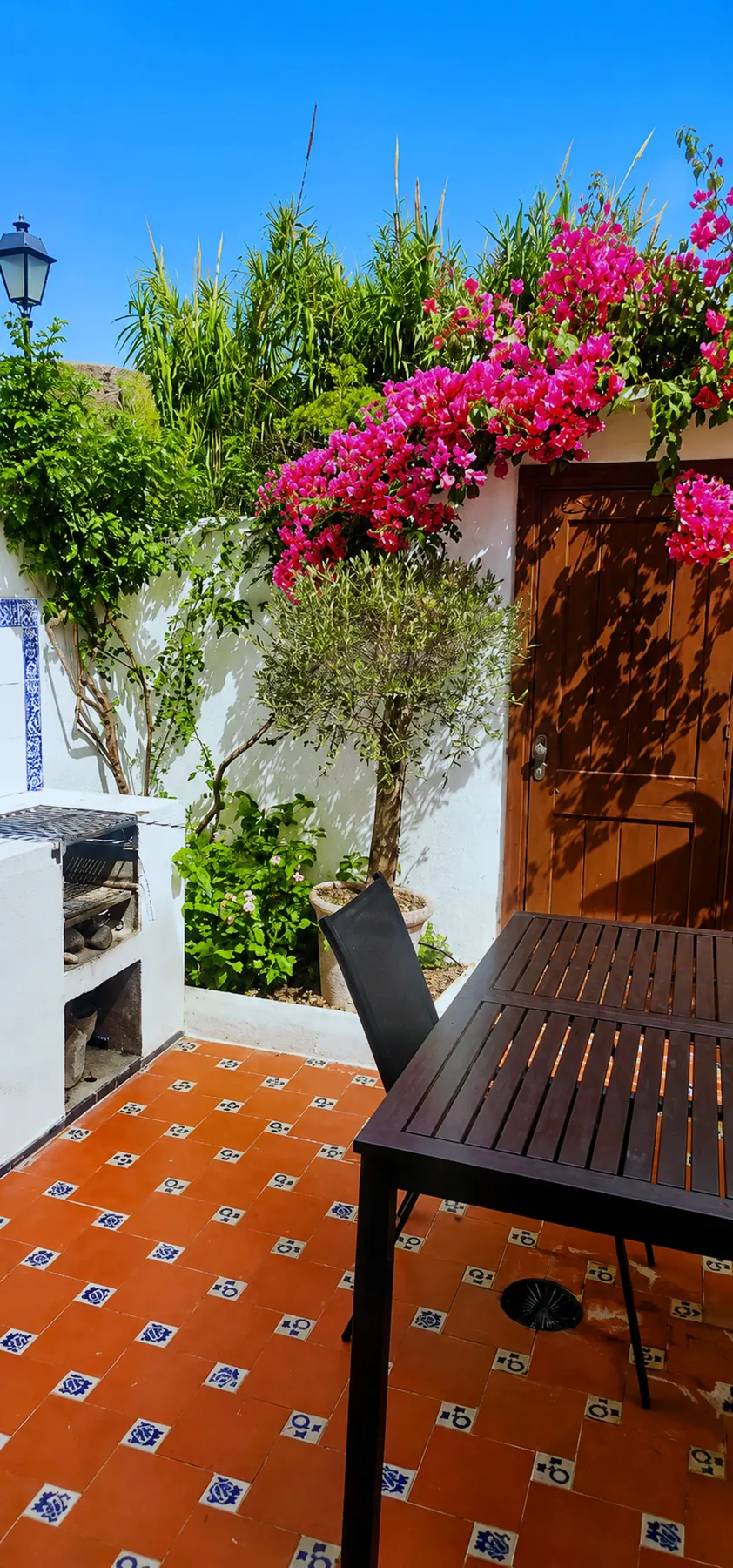Bougainvillea over the courtyard dining table