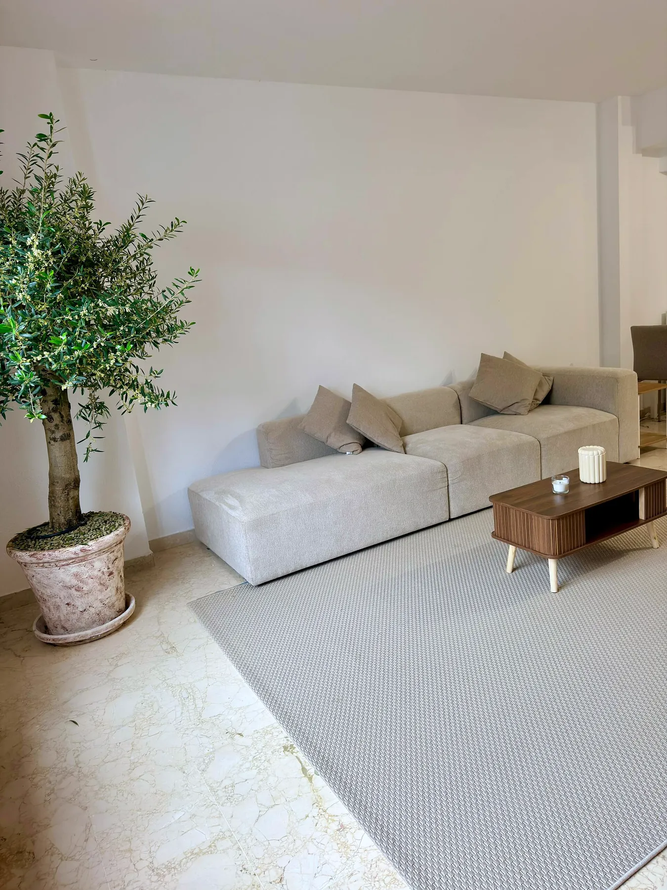 Sofa and olive tree in the living room